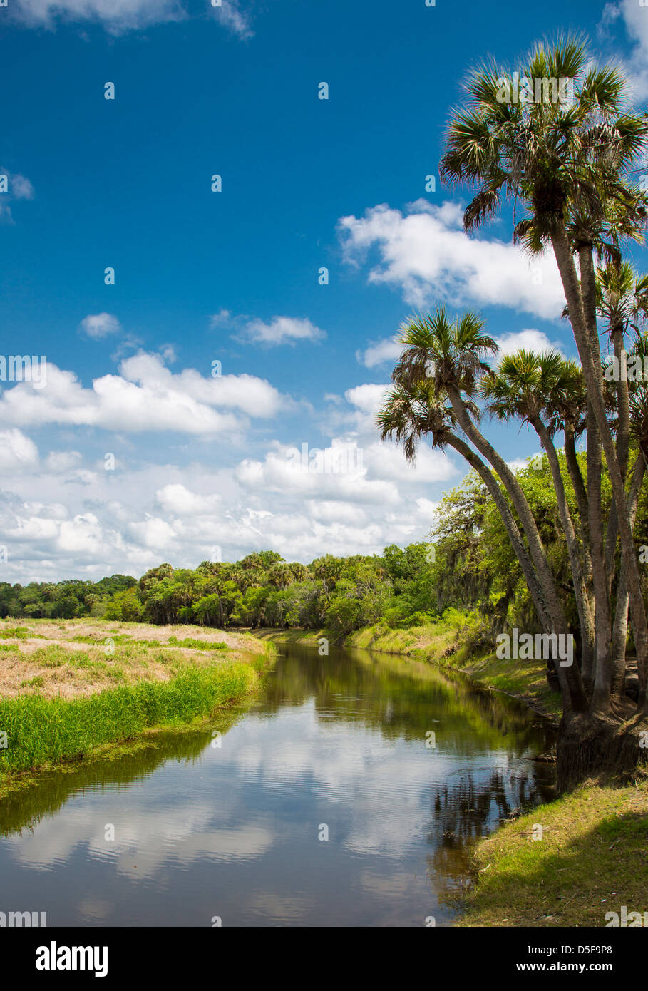 Myakka River in Myakka River State Park in Sarasota Florida Foto Stock