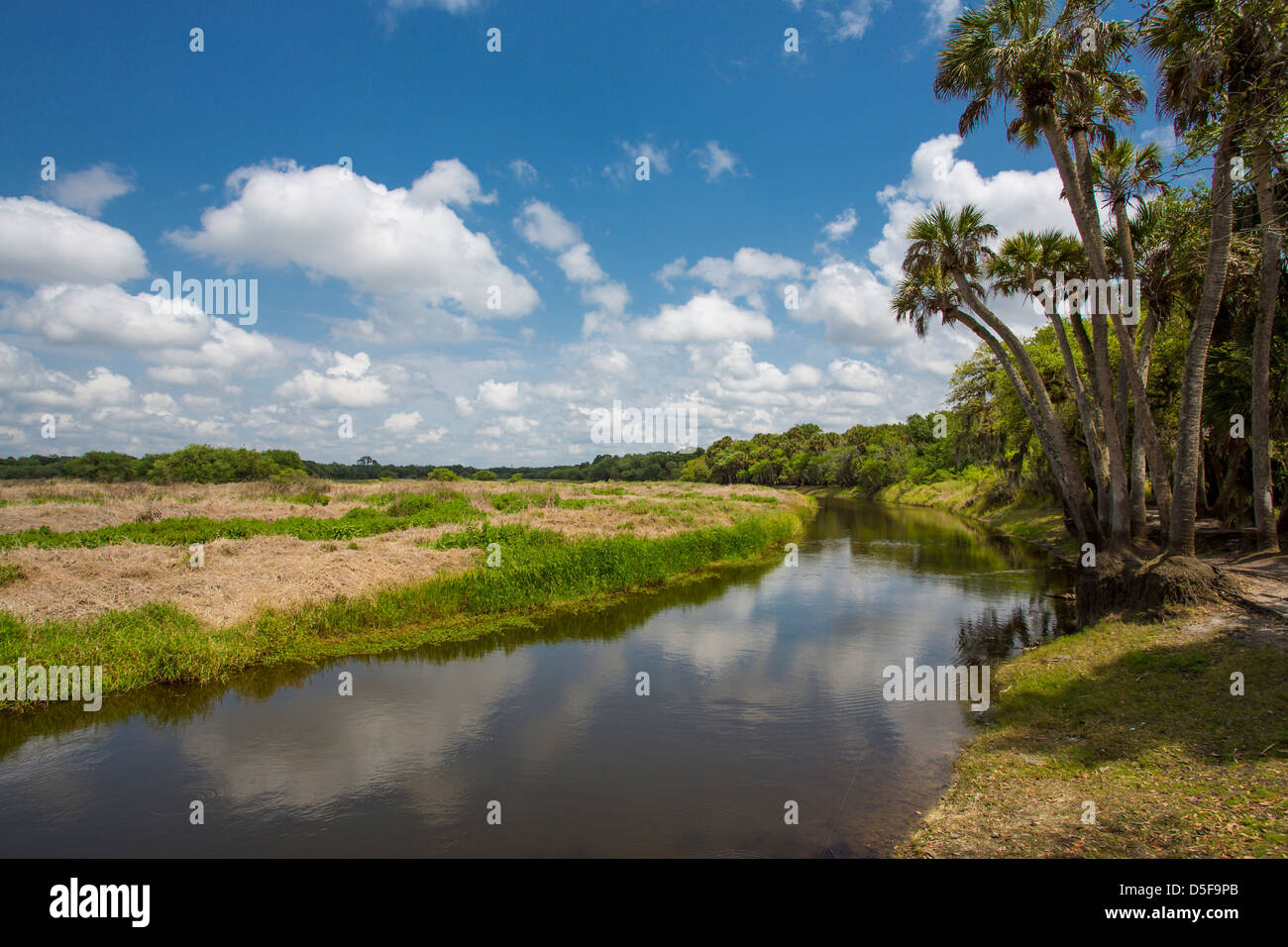 Myakka River in Myakka River State Park in Sarasota Florida Foto Stock