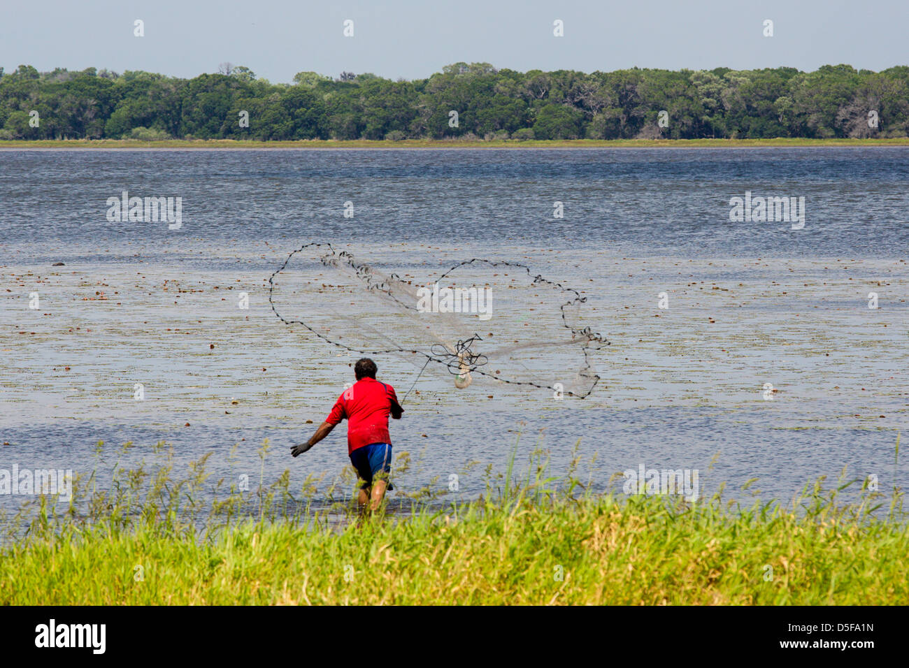 Uomo al netto di colata per pescare in alto lago Myakka in Myakka River State Park in Sarasota Florida Foto Stock