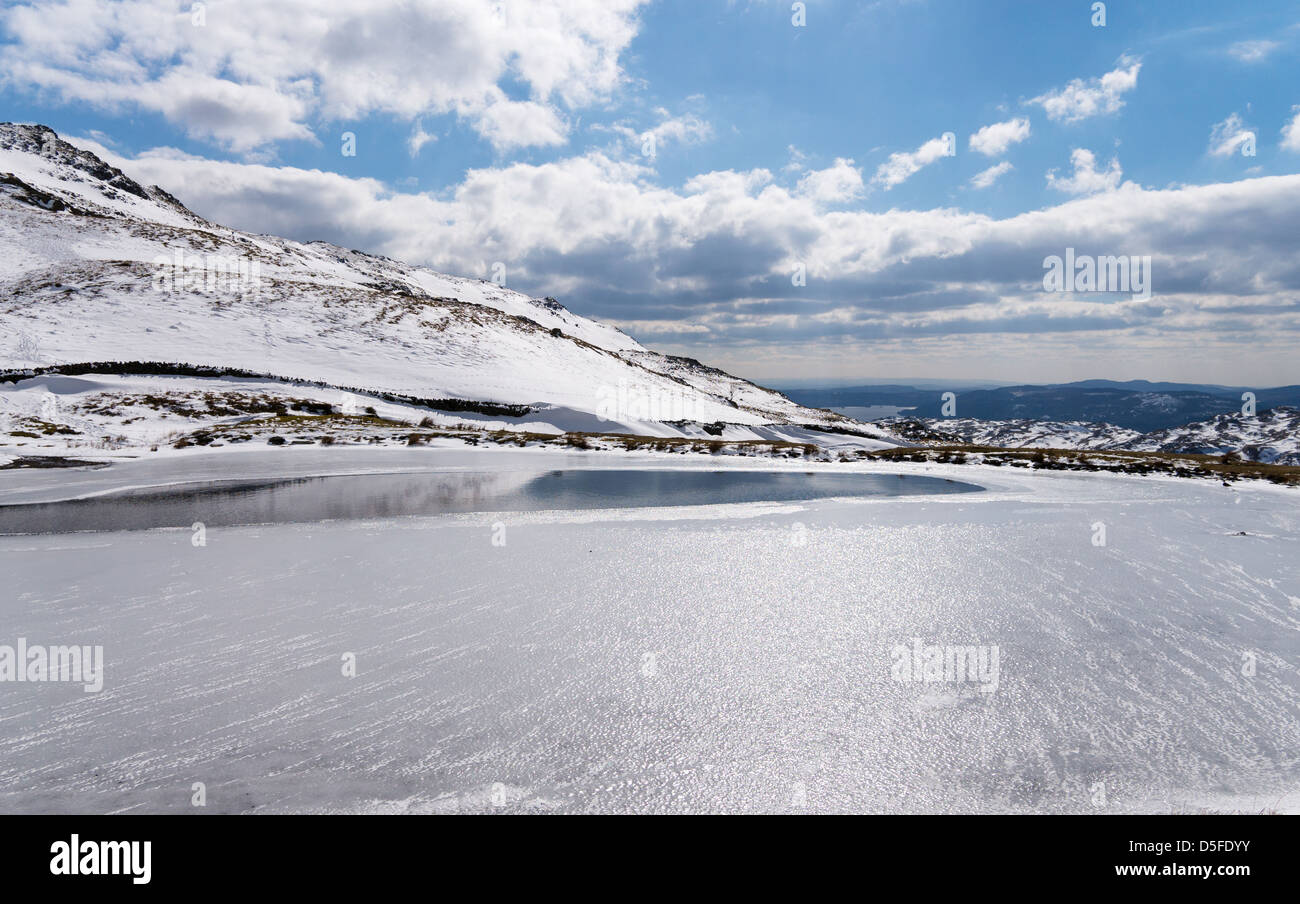 Alcock Tarn parzialmente congelati vicino a Grasmere Lake District Cumbria Inghilterra England Regno Unito Foto Stock