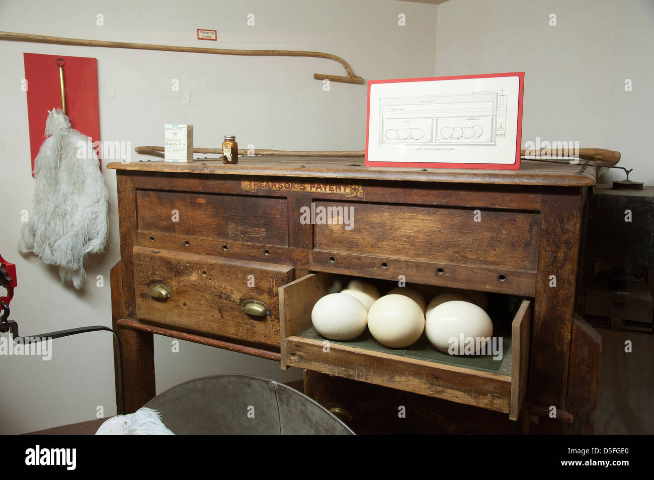 C P nel Museo Oudtshoorn Sud Africa Foto Stock