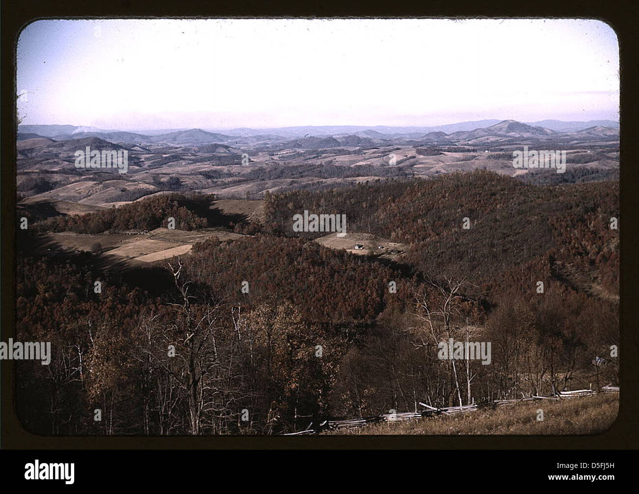 Vista dei campi e colline boscose dalla Skyline Drive, Virginia (LOC) Foto Stock