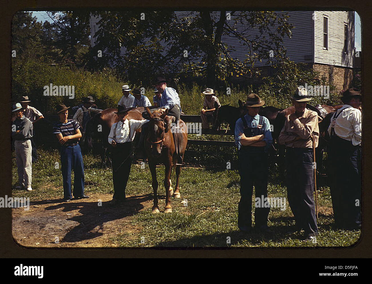 Gli alpinisti e gli agricoltori trading muli e cavalli su "San Fantino", vicino alla Casa Corte Campton, Wolfe County, Ky. (LOC) Foto Stock