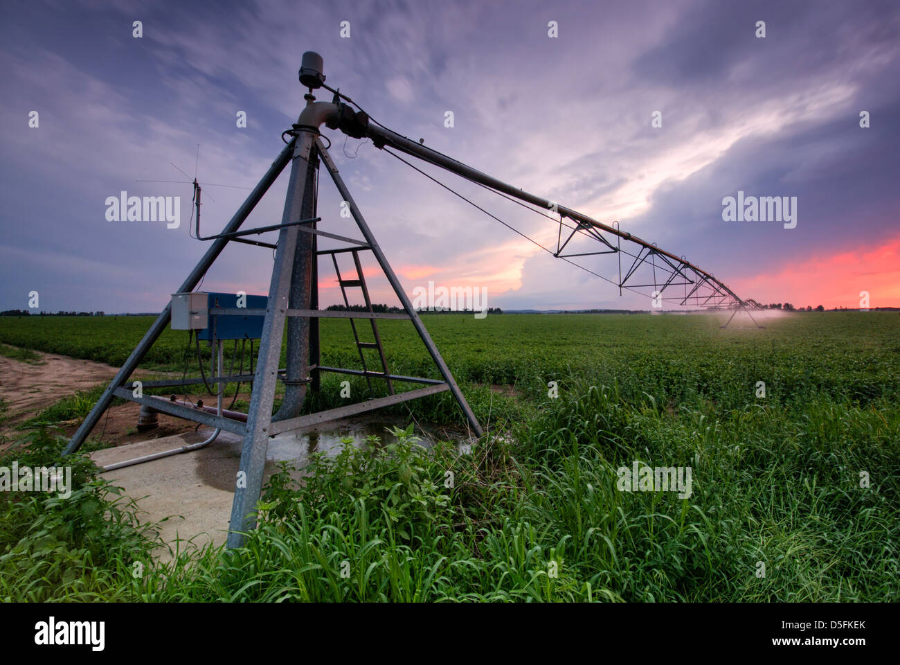 Irrigazione agricola spargendo i campi al tramonto Foto Stock