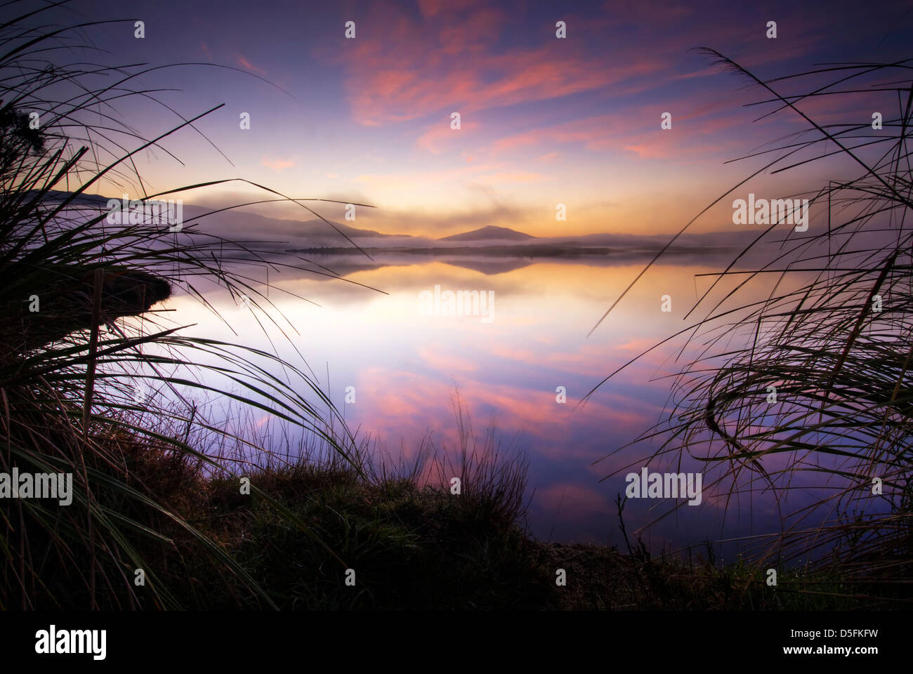 Alba sul lago attraverso graminacee. Isola del nord, Nuova Zelanda Foto Stock