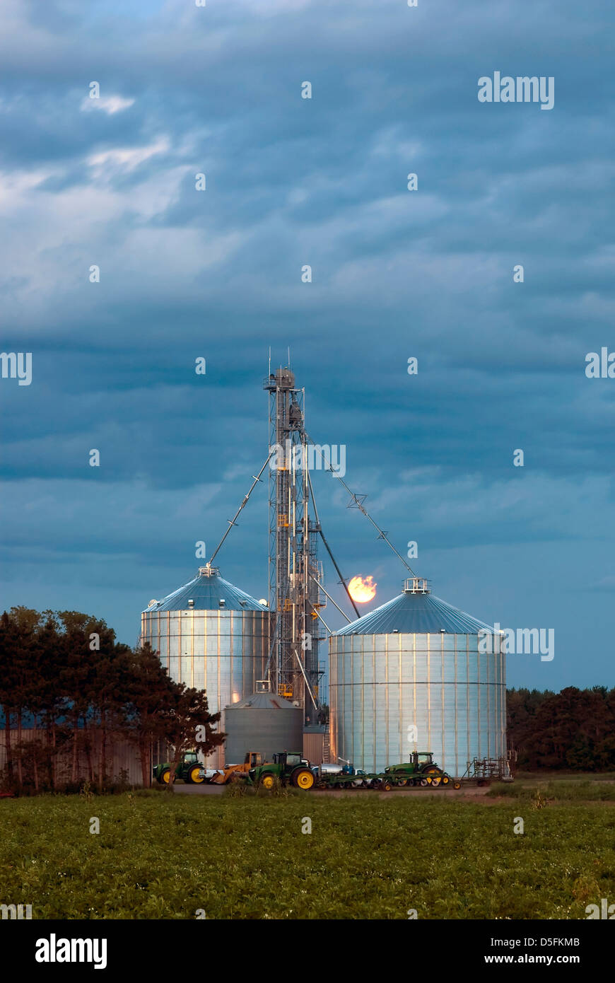 Elevatori della granella con Full Moon Rising. Stati Uniti d'America Foto Stock