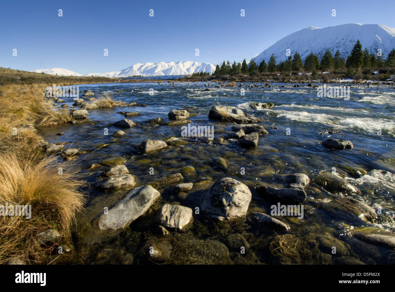 Ohau River, il Bacino di Mackenzie, Alpi del Sud, Isola del Sud, Nuova Zelanda Foto Stock