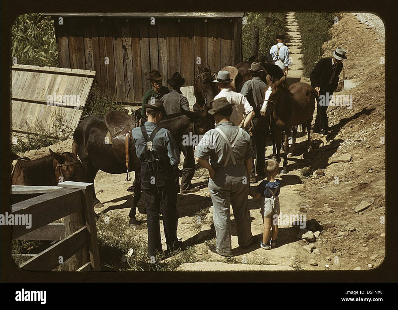 Gli alpinisti e gli agricoltori trading muli e cavalli su "San Fantino", vicino al Palazzo di Giustizia, [Campton], Wolfe County, Ky. (LOC) Foto Stock