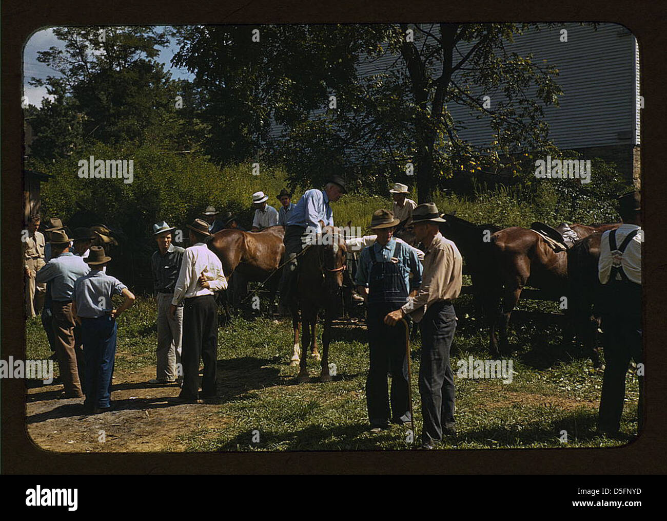 Gli alpinisti e gli agricoltori trading muli e cavalli su "San Fantino", vicino alla Casa Corte Campton, Wolfe County, Ky. (LOC) Foto Stock