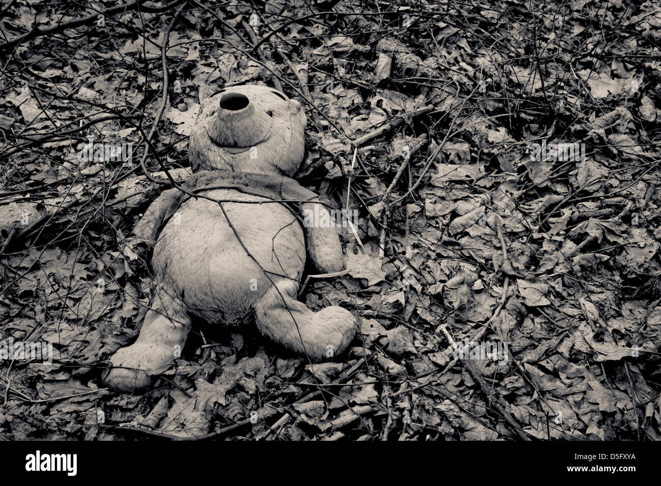 Winnie the pooh peluche abbandonato nel bosco Foto stock - Alamy