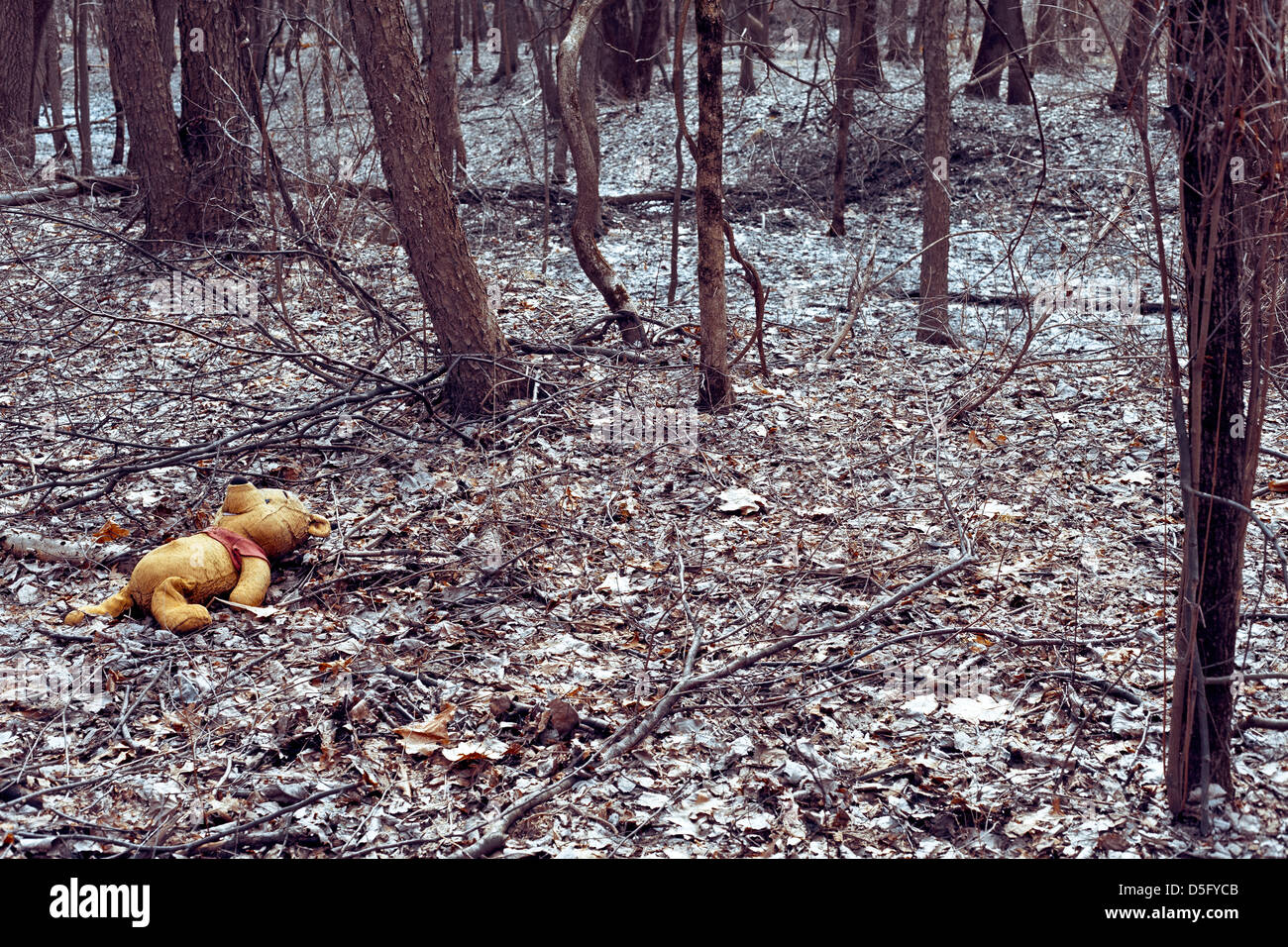 Winnie the pooh peluche abbandonato nel bosco Foto Stock