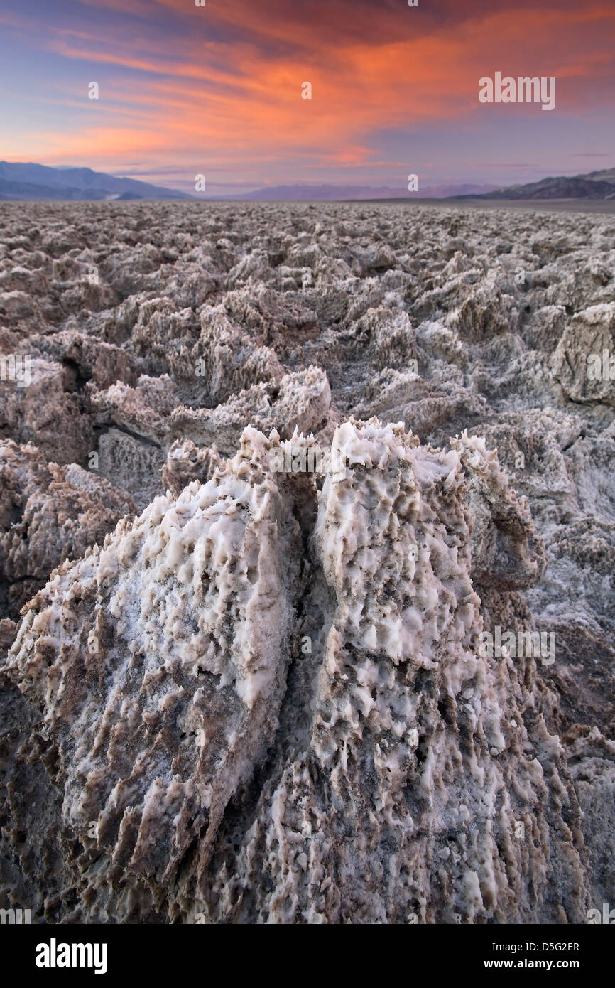 Pinnacoli di sale sul Devil's Campo da Golf, il Parco Nazionale della Valle della Morte, California USA Foto Stock
