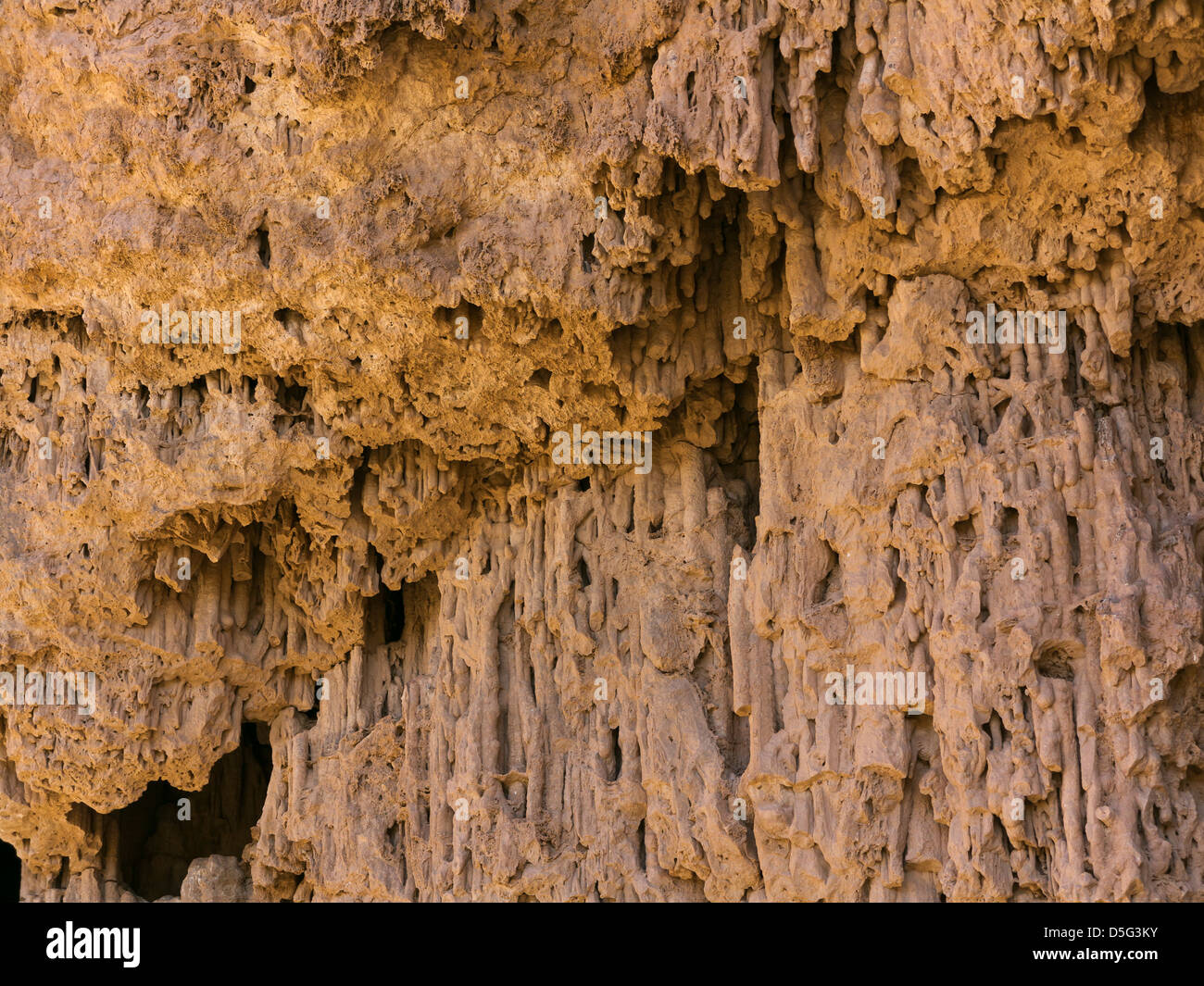 In prossimità delle radici in mare Grotta conosciuta localmente come Grouttes de Messalit, vicino a Tata, sud Anti Atlante del Marocco Foto Stock