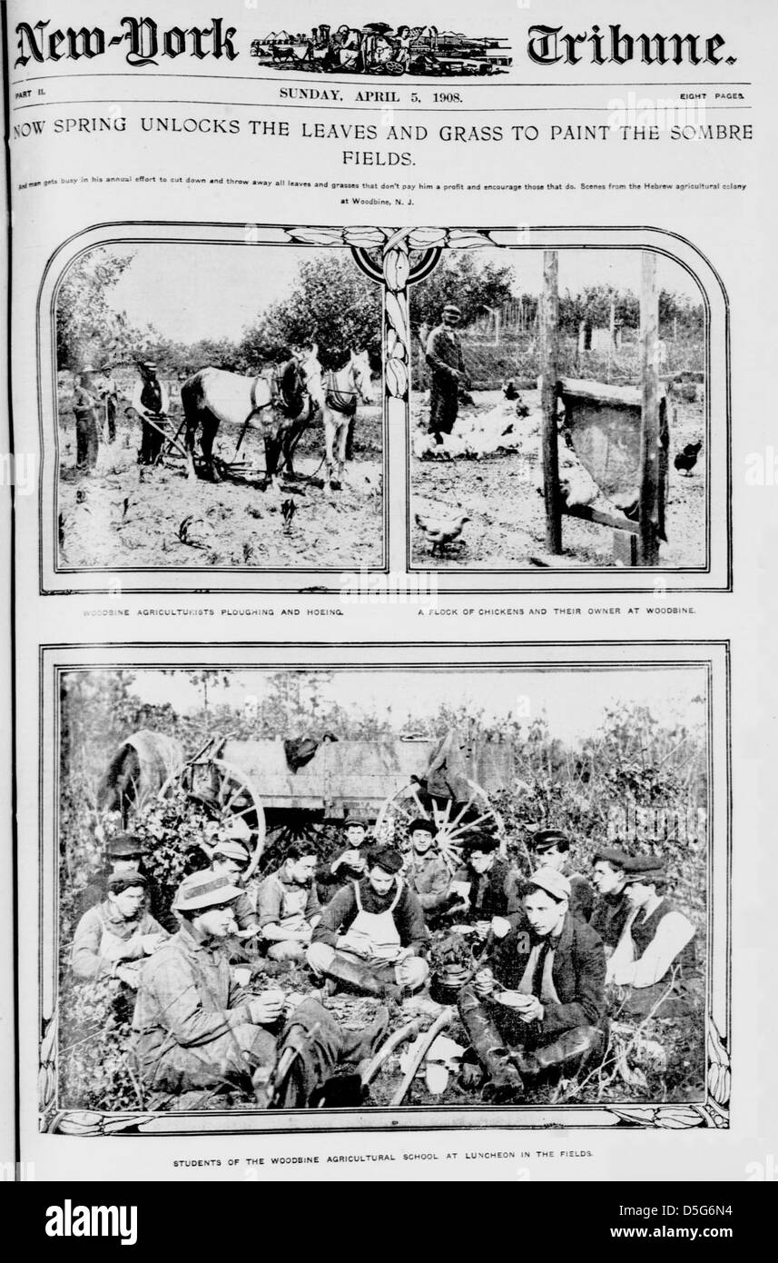 Una foto poetica della stagione primaverile, che cattura la fioritura di foglie e erba in un campo rurale, riflettendo il rinnovamento e il ringiovanimento associati alla stagione. Foto Stock