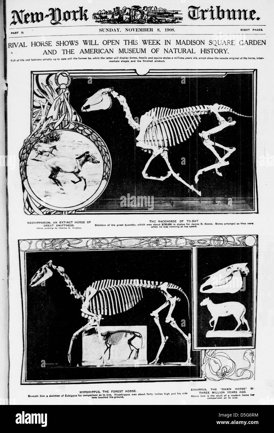 Un annuncio degli anni '1900 che mette in evidenza gli spettacoli ippici rivali che si aprono al Madison Square Garden e all'American Museum of Natural History di New York City, riflettendo l'importanza della cultura equestre. Foto Stock