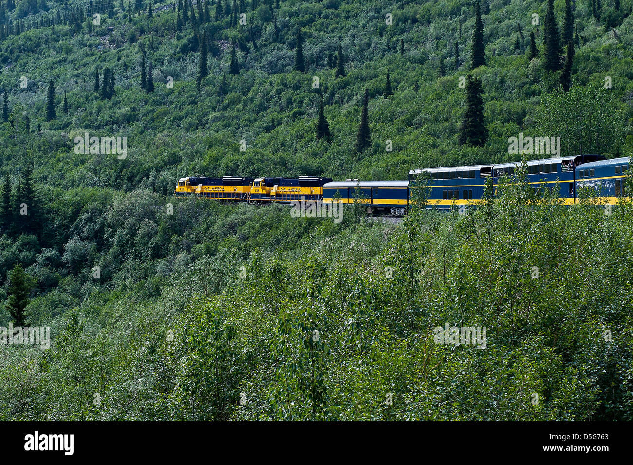 Il treno turistico di avvolgimento tramite l'incontaminato paesaggio Alaska, Alaska USA Foto Stock