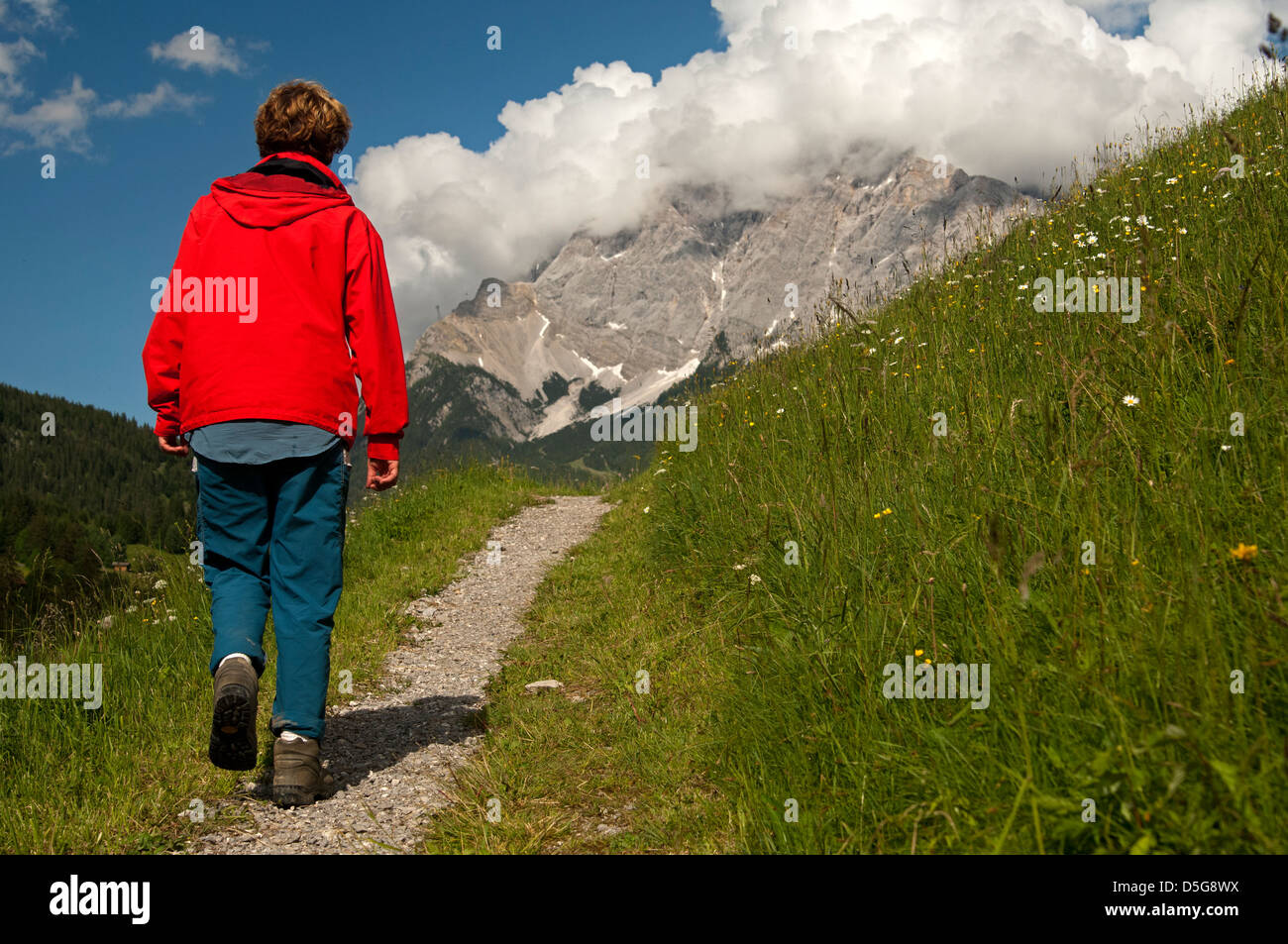 Escursionista su un sentiero in area escursionistica Ehrwalder Becken, vista montagne del Wetterstein, Ehrwald, Tirolo, Austria Foto Stock