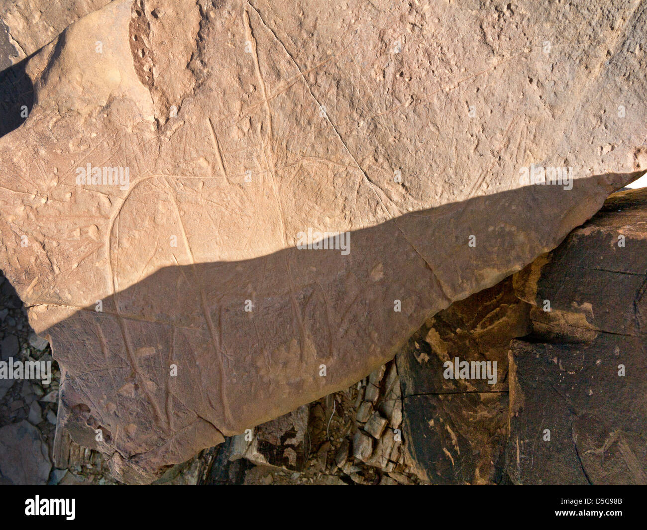 Preistoria le incisioni rupestri a Oued Mestakou sulla Tata ad Akka road in Marocco. Foto Stock