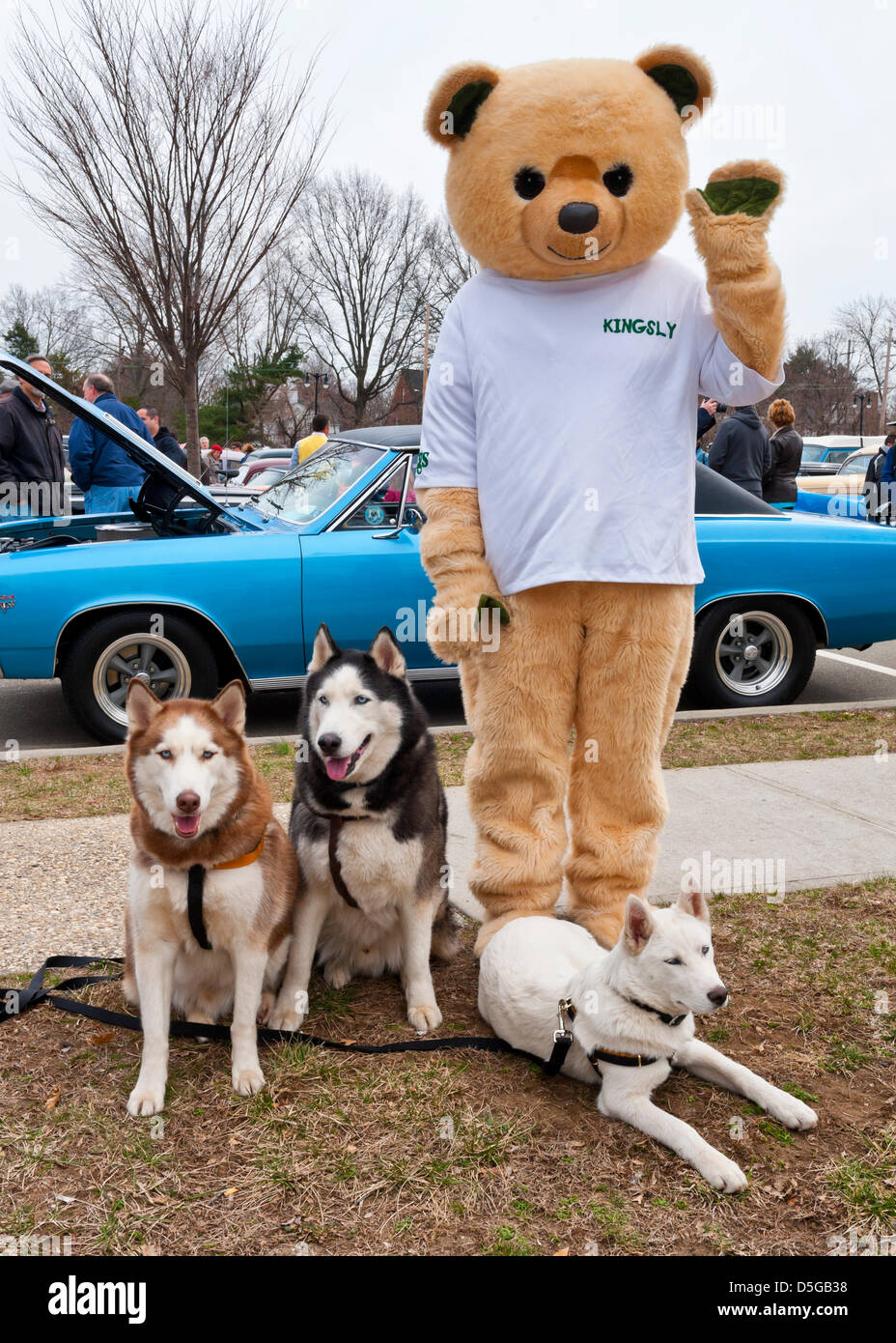 Città Giardino, New York, Stati Uniti Marzo 31, 2013. I fratelli di Husky, Frankie, Caino e Tsar, stanno avendo la loro immagine scattata con Kingsley, re supermercato mascotte, a 58th annuale Domenica di Pasqua auto d'epoca, parata e spettacolo patrocinato dalla Città Giardino Camera di Commercio. Centinaia di autentico antico di autovetture, 1898-1988, compresi gli oggetti d'antiquariato, classic e particolare interesse ha partecipato alla sfilata.Credit: Ann e Parry/Alamy Live News Foto Stock