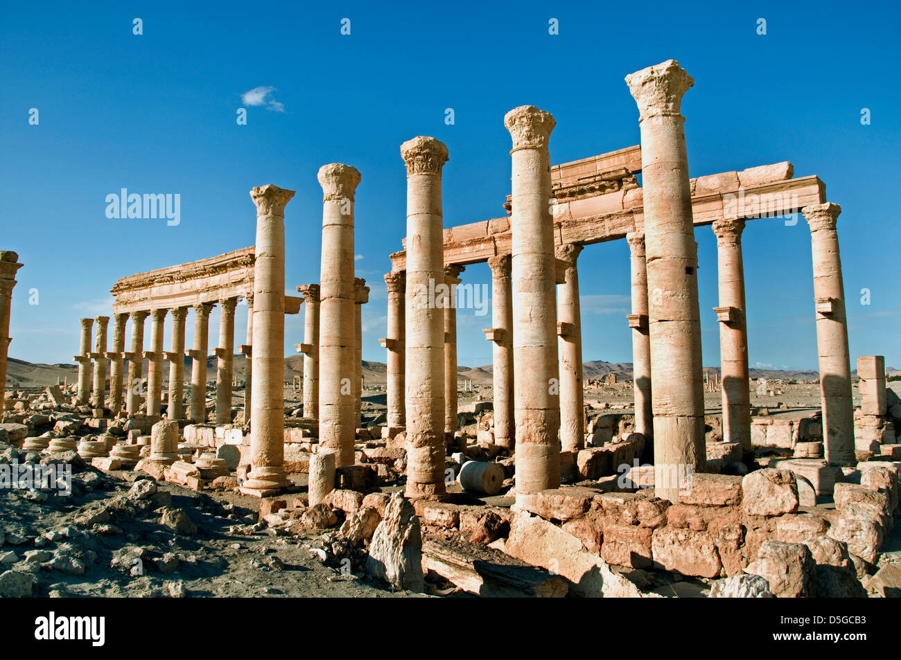 2 Cent BC Palmyra Siria sito archeologico romano Foto Stock