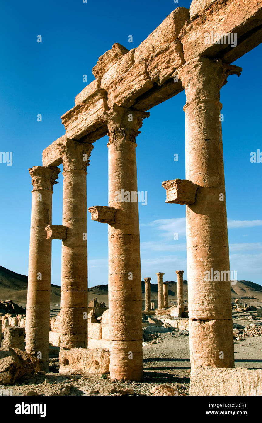 2 Cent BC Palmyra Siria sito archeologico romano Foto Stock