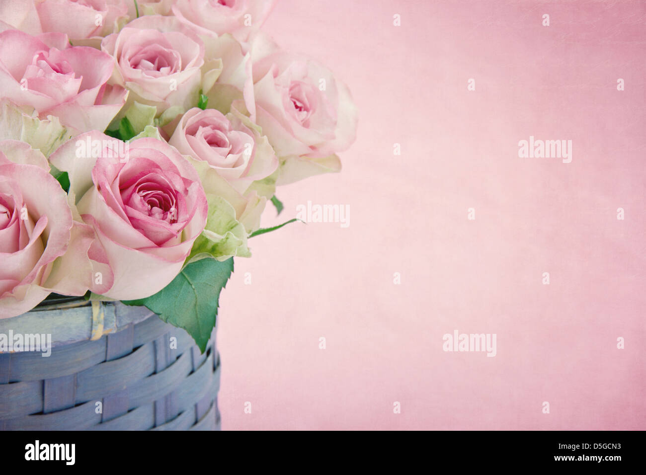 Rosa Rose romantiche sui colori pastello shabby chic di sfondo Foto Stock