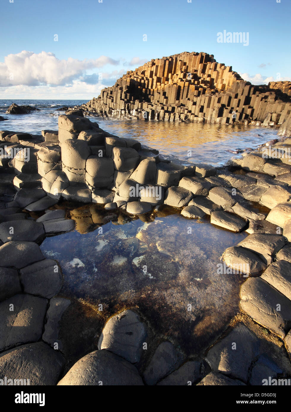 Bellissimo pomeriggio di sole al famoso Giant's Causeway sulla costa di Antrim in Irlanda del Nord Foto Stock