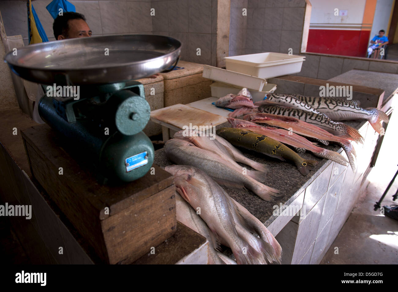 Il mercato del pesce di Santarem, nell Amazzonia brasiliana Foto Stock