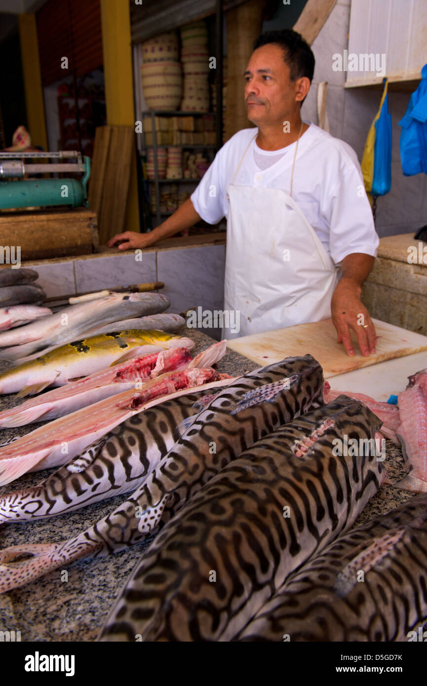 Il mercato del pesce di Santarem, nell Amazzonia brasiliana Foto Stock