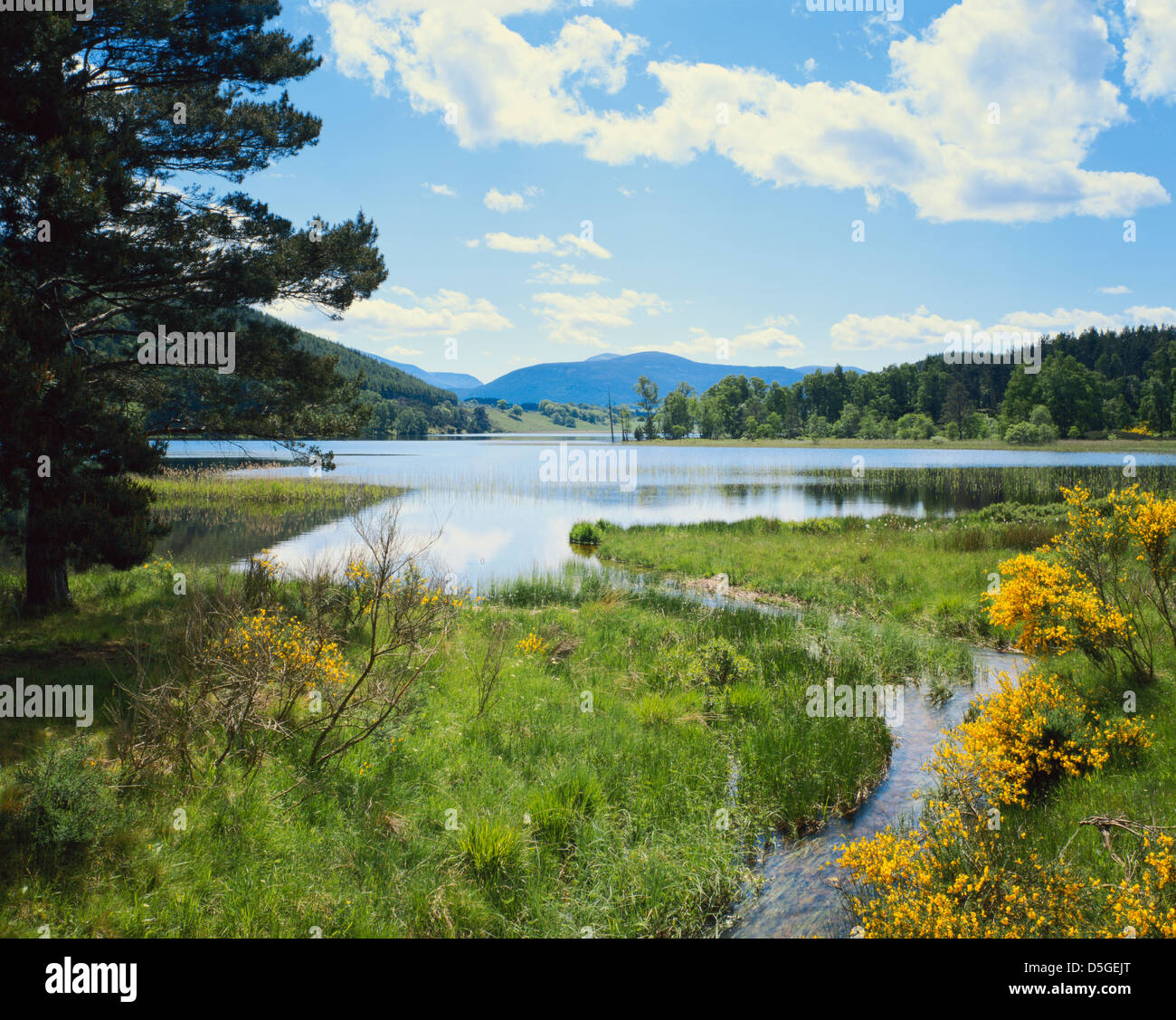 Loch Pityoulish e i Monti Cairngorm; Highlands; Scozia - GB Foto Stock