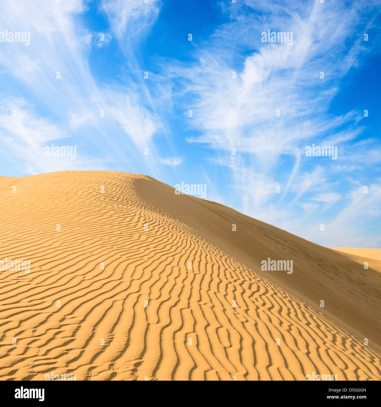 Oro dune di sabbia nel deserto al tramonto. Deserto di Thar o Grande deserto indiano. Foto Stock