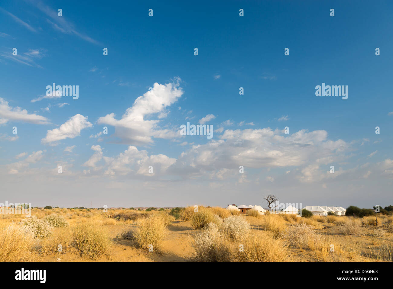 Tenda campeggio hotel per turisti nel deserto di Thar sotto il cielo blu Foto Stock