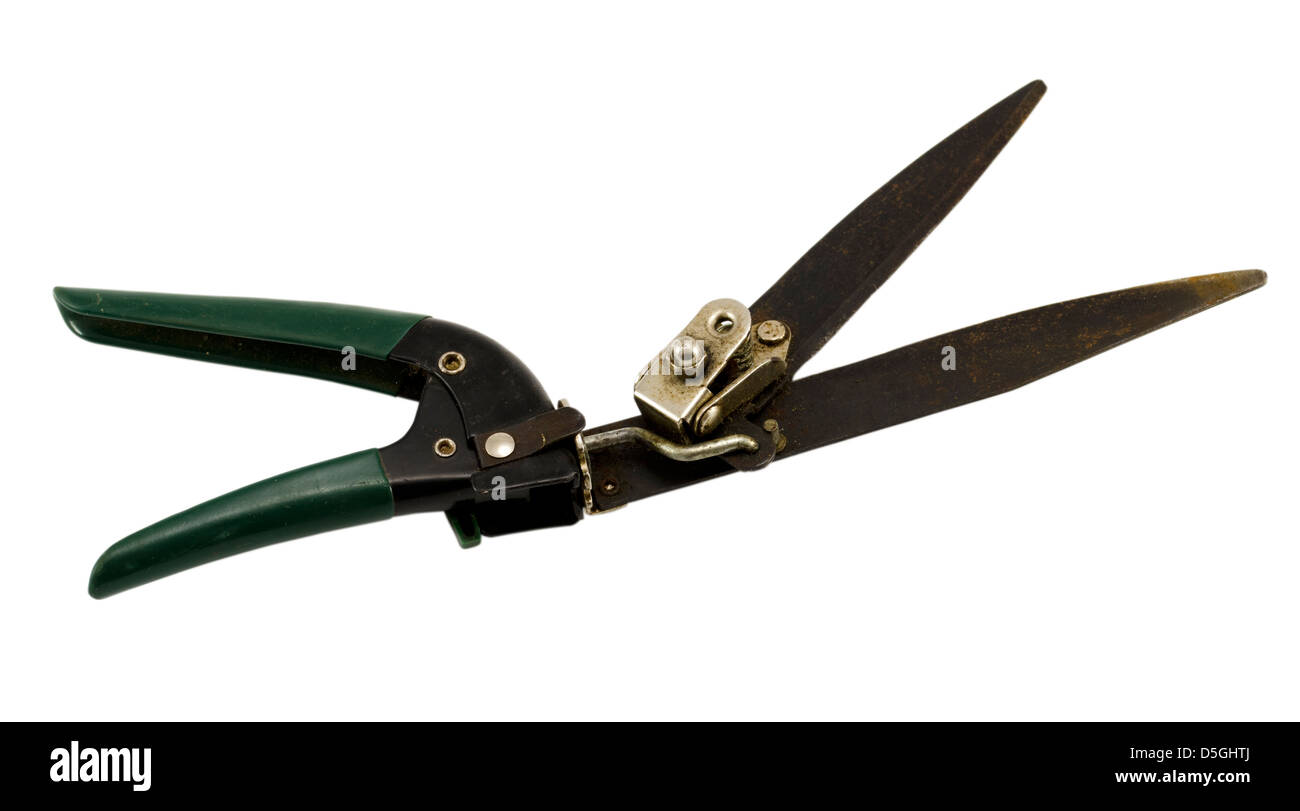 Giardino tagliasiepi clippers attrezzo con impugnatura in plastica isolato su sfondo bianco Foto Stock