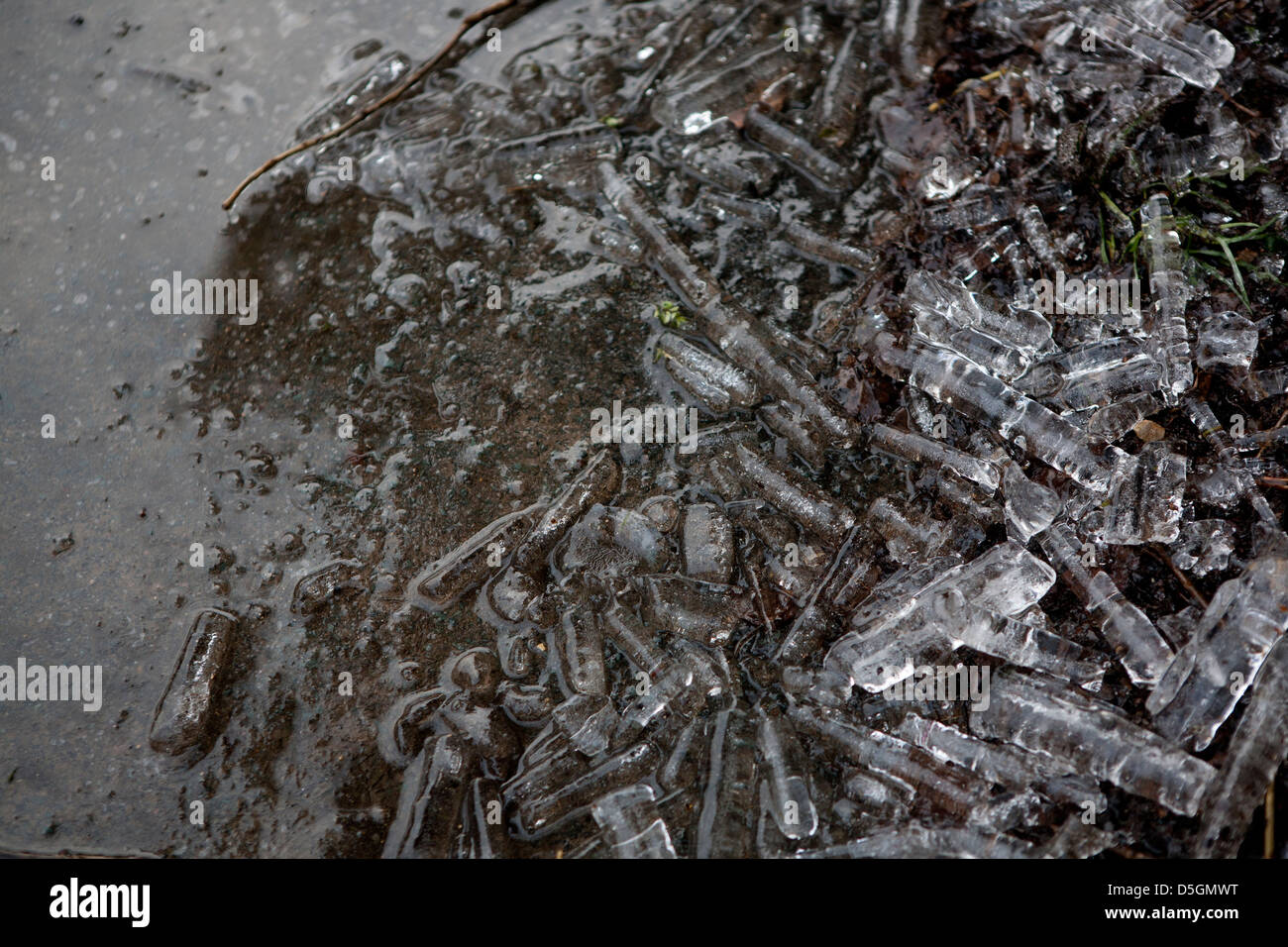 Rotture di ghiaccioli fusione su una pavimentazione di asfalto. Foto Stock