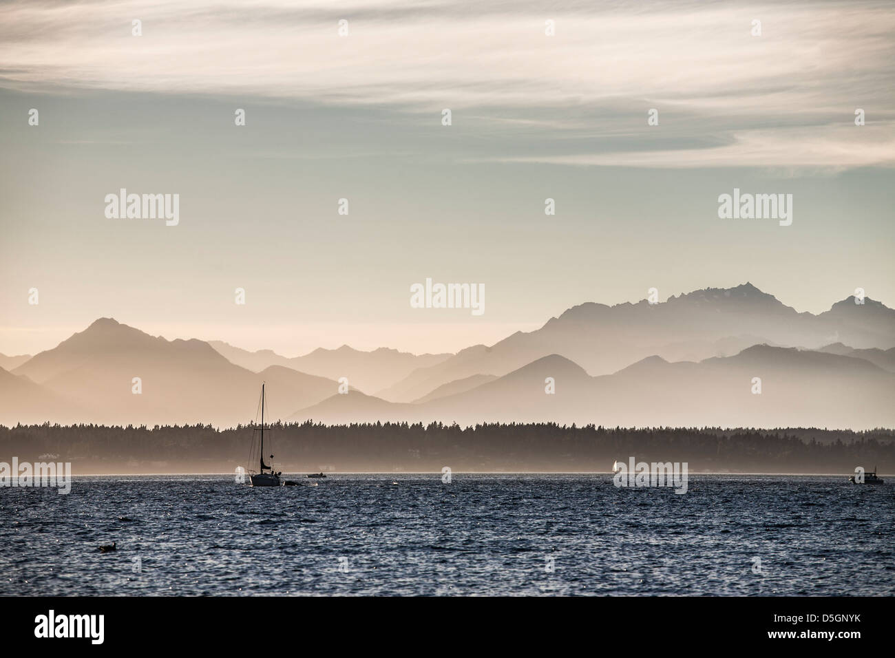 Una vista delle montagne olimpiche dal Golden Gardens Beach a Seattle, Washington, Stati Uniti d'America. Foto Stock