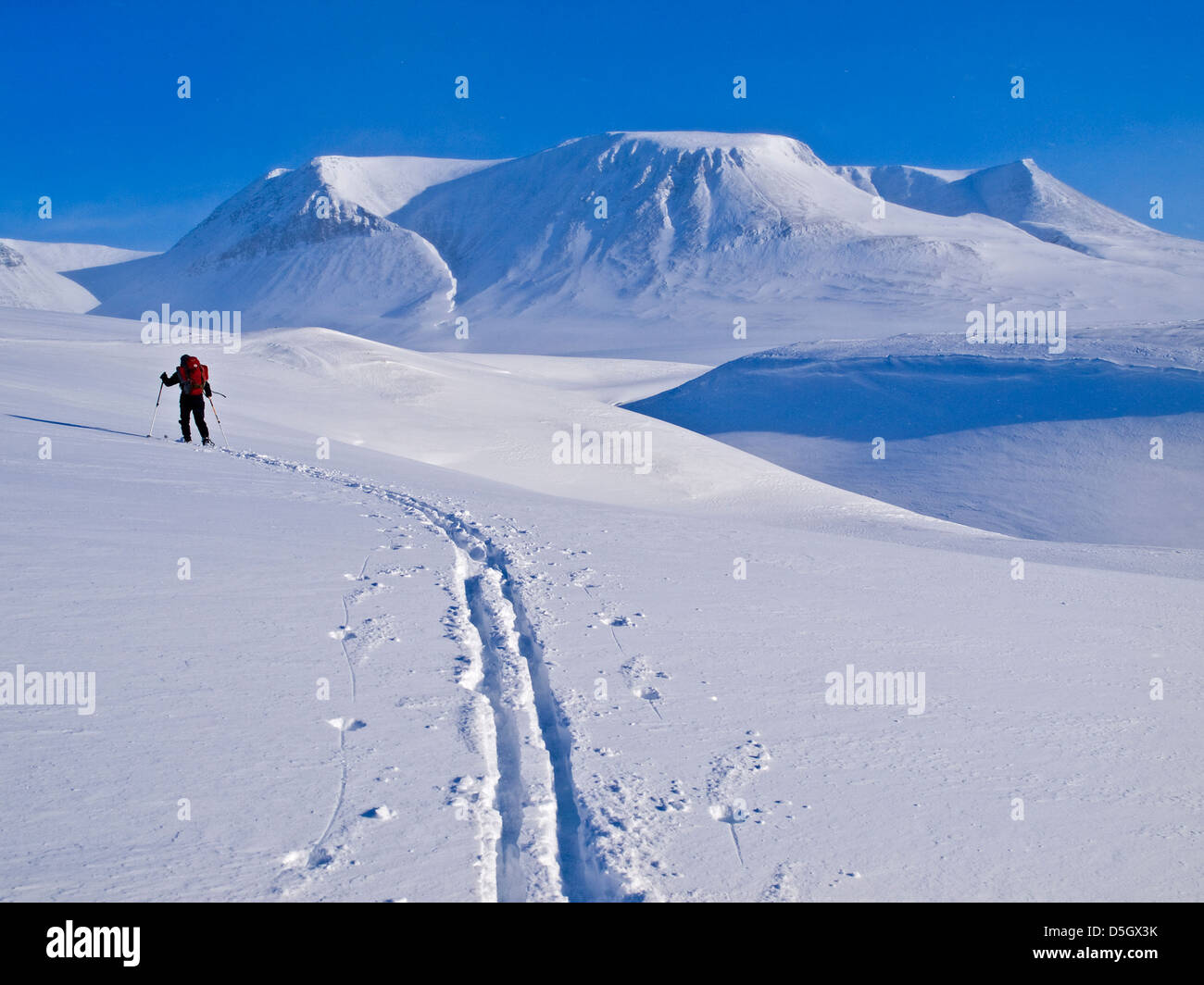 Singolo sciatore sci alpinismo in Norvegia del nord sul confine Troms Trail, nei pressi di Tromso Foto Stock