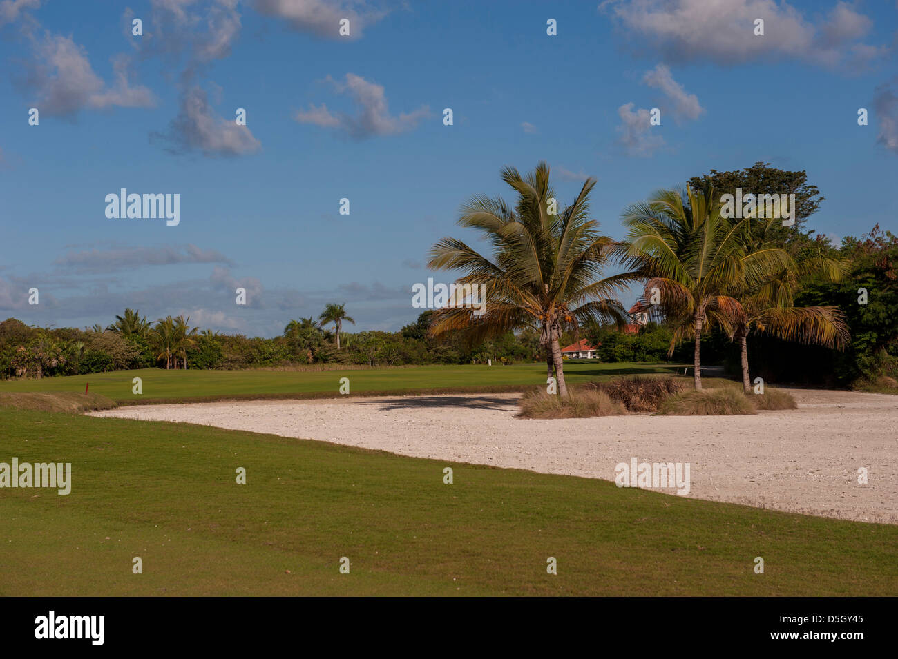 Repubblica Dominicana, Punta Cana, Higuey, Bavaro e Punta Blanca campo da golf Foto Stock