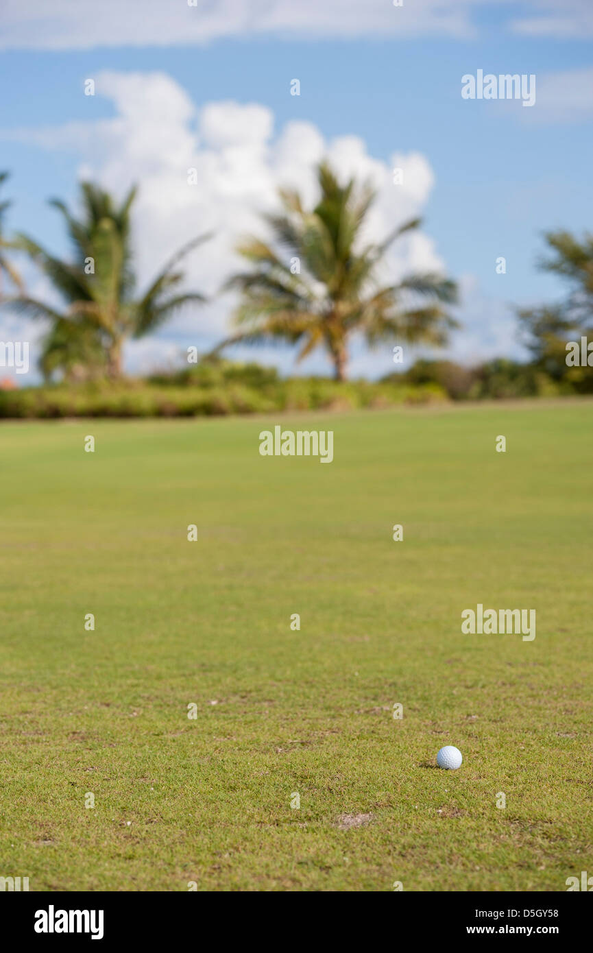 Repubblica Dominicana, Punta Cana, Higuey, Bavaro e Punta Blanca golf, palla da golf Foto Stock