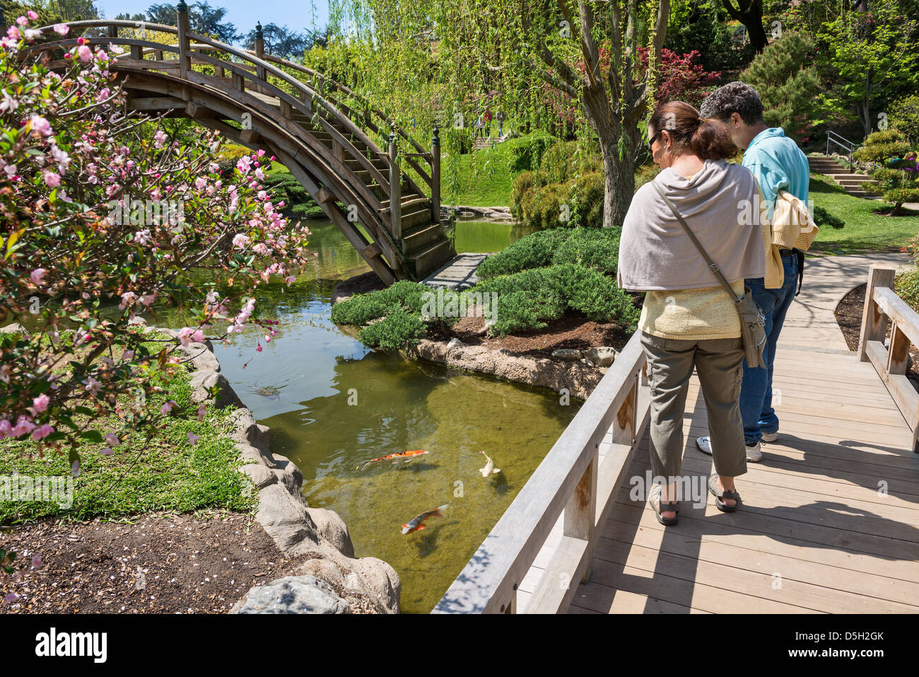 Le persone che si godono la vista del giardino Giapponese presso la Biblioteca di Huntington e Giardini Botanici. Foto Stock