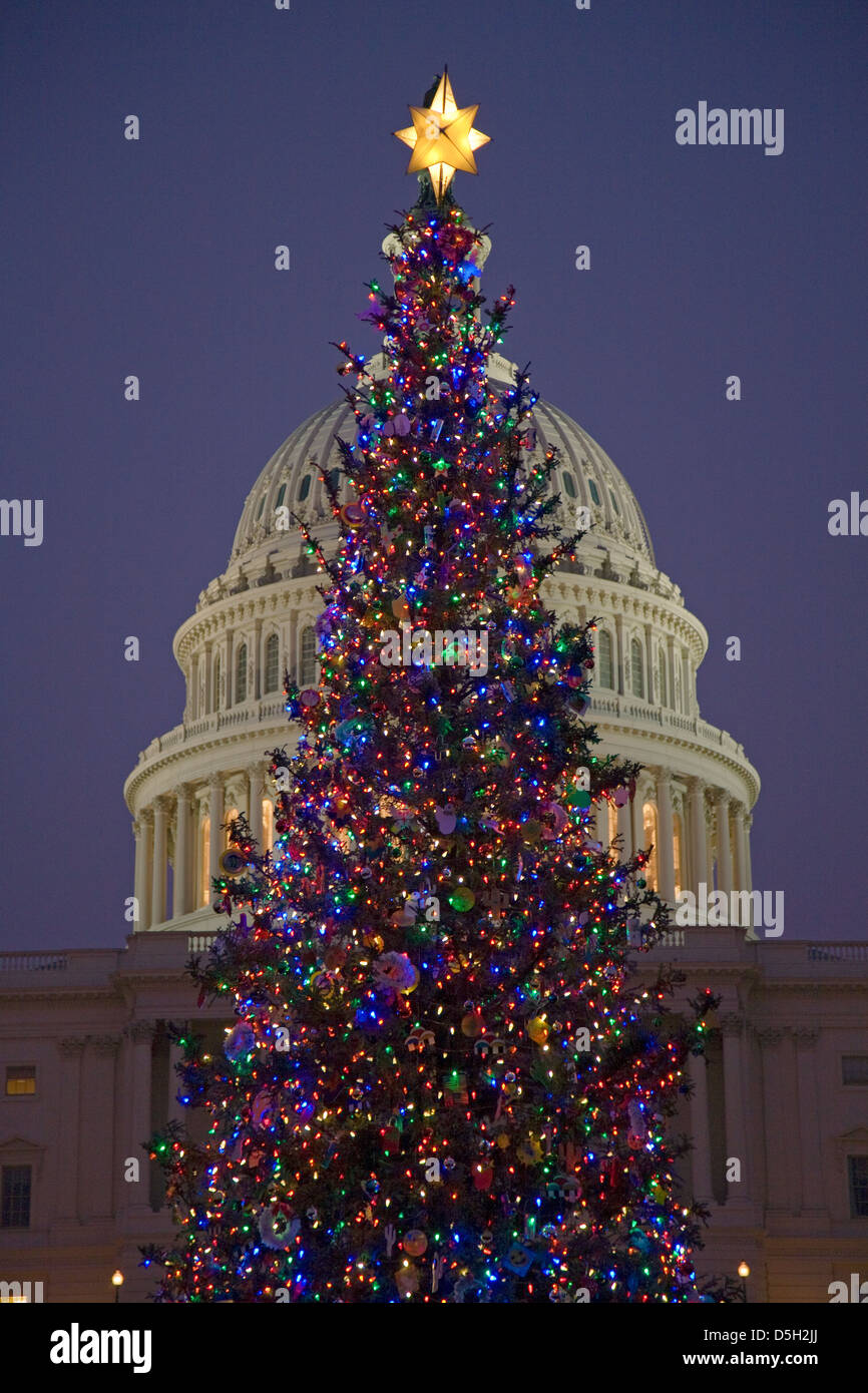Capitol albero di Natale al tramonto nella parte anteriore di U.S. Capitol, Washington D.C., USA Foto Stock