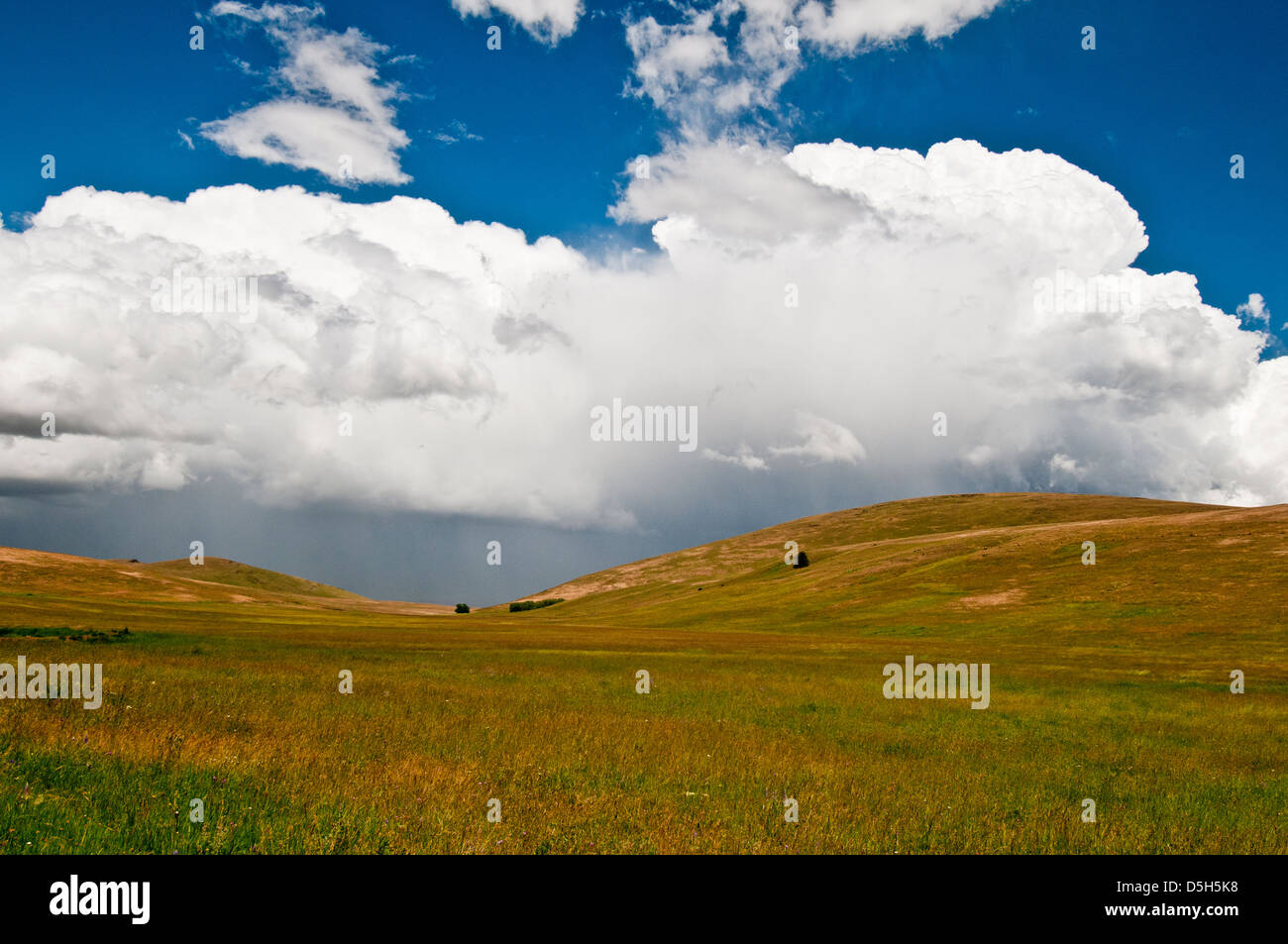 Zumwalt Prairie in NE Oregon Foto Stock