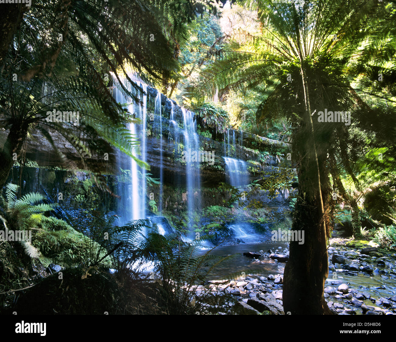 Australia, nel sud-est della Tasmania, Monte campo parco nazionale, vista di Russel cade Foto Stock