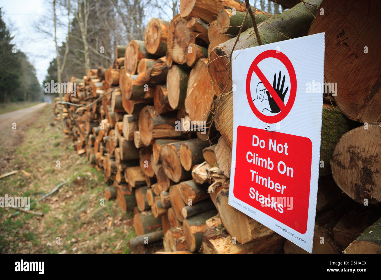 Legname in attesa di distacco in Micheldever legno, di un insieme di strutture gestito dalla Commissione forestale Foto Stock