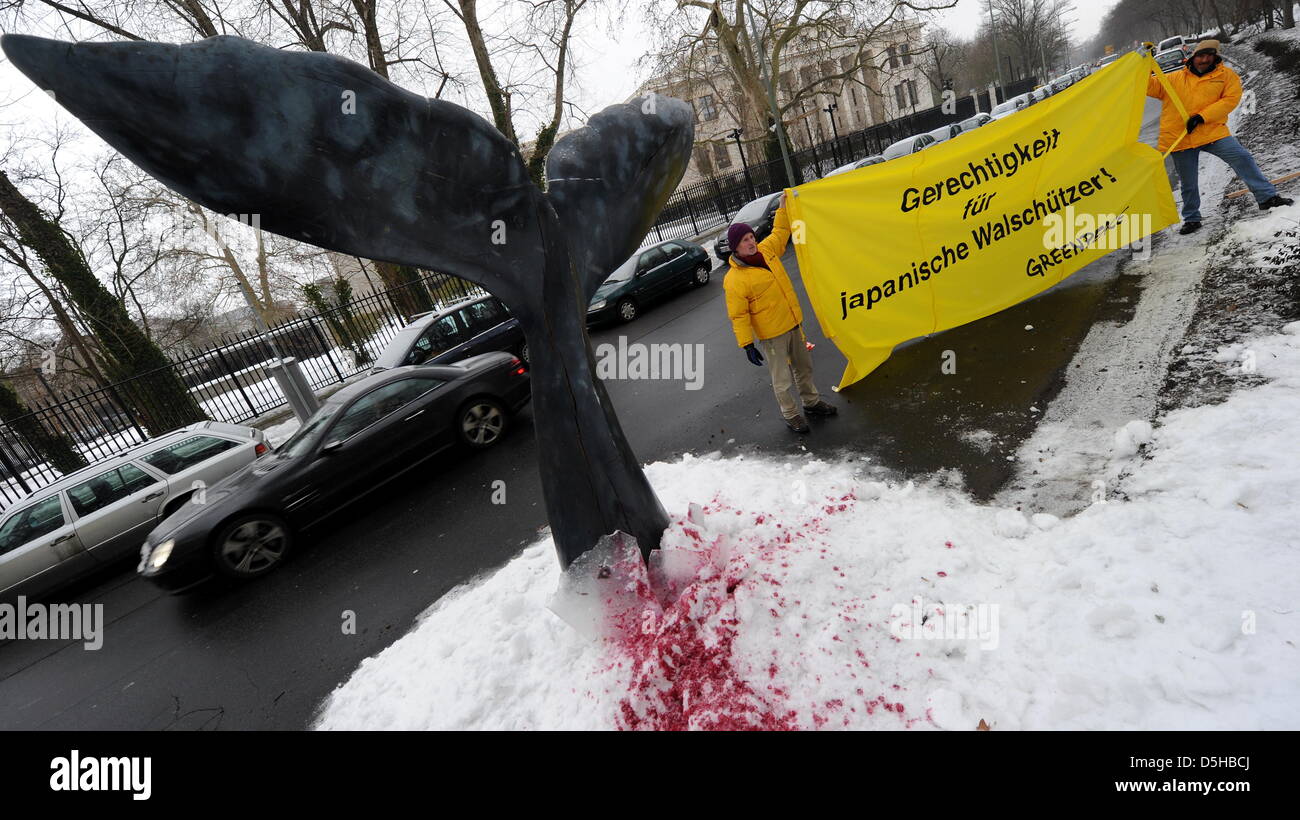Greenpeace activits protestare con una balena riprodotta fluke di fronte all'ambasciata giapponese a Berlino, Germania, 08 febbraio 2010. La tutela ambientale organizzazione Greenpeace dimostra nei confronti di processi contro i compagni di activits in Giappone che sono accusato di furto di carne di balena e chi faccia imprigionamenti di fino a dieci anni. Foto: TIM BRAKEMEIER Foto Stock