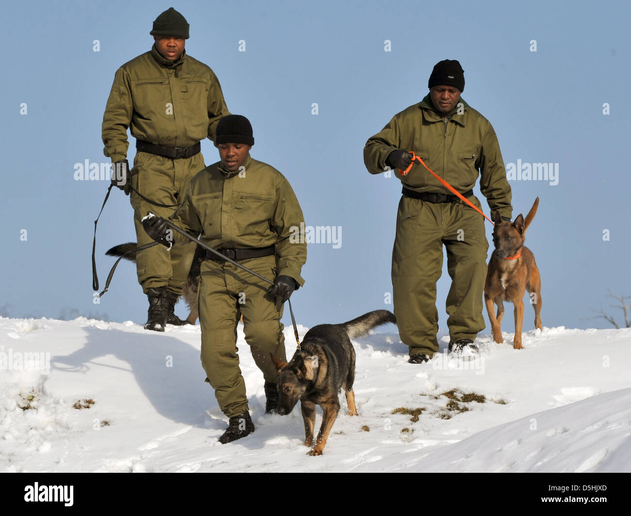 Poliziotti della Nigeria la nazionale di applicazione delle leggi in materia di droga agenzia (NDLEA) (L-R) Abhadore Godwin Osasotie, Elakhe Pedro Clifford e Muhammed Jahun Usmon portano i loro cani sulle pratiche in materia di polizia motivi di Dresda, in Germania, il 17 febbraio 2010. Negli ultimi mesi i poliziotti nigeriani hanno compiuto con successo uno specifico corso di formazione presso la polizia sassone training center. Foto: RALF HIRSCHB Foto Stock