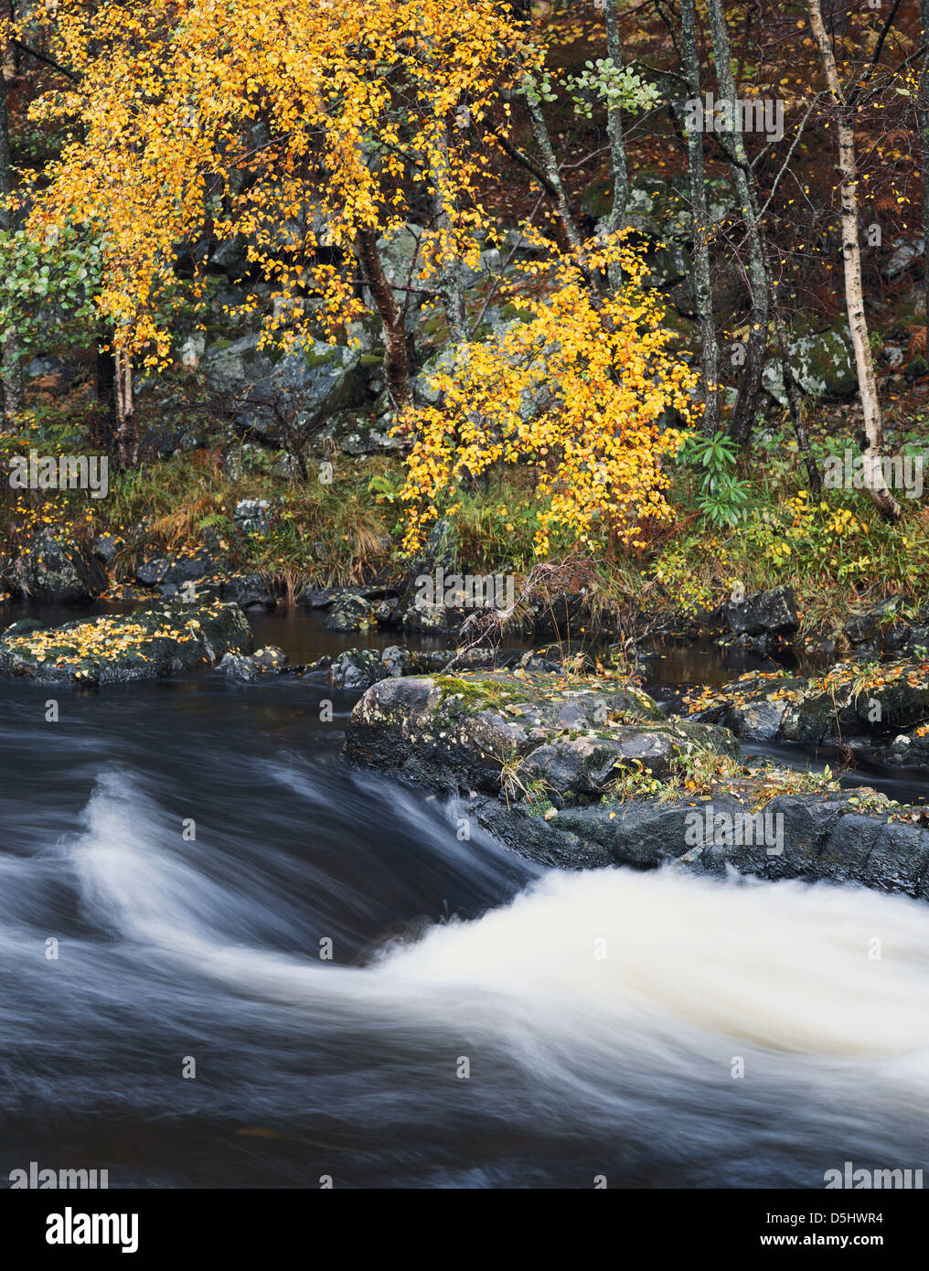 Fiume Tummel, Tayside, Perth and Kinross, Scozia, GB Foto Stock