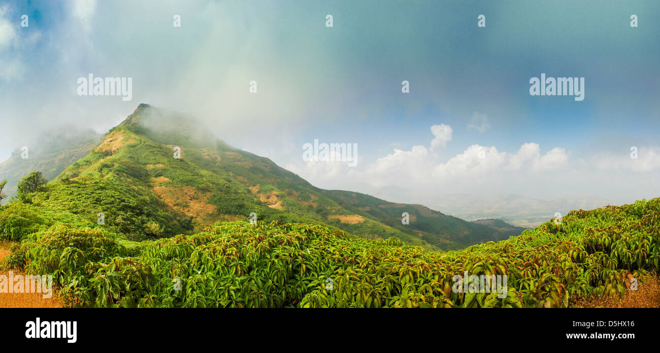 Vista mattutina di Rajgadh Foto Stock