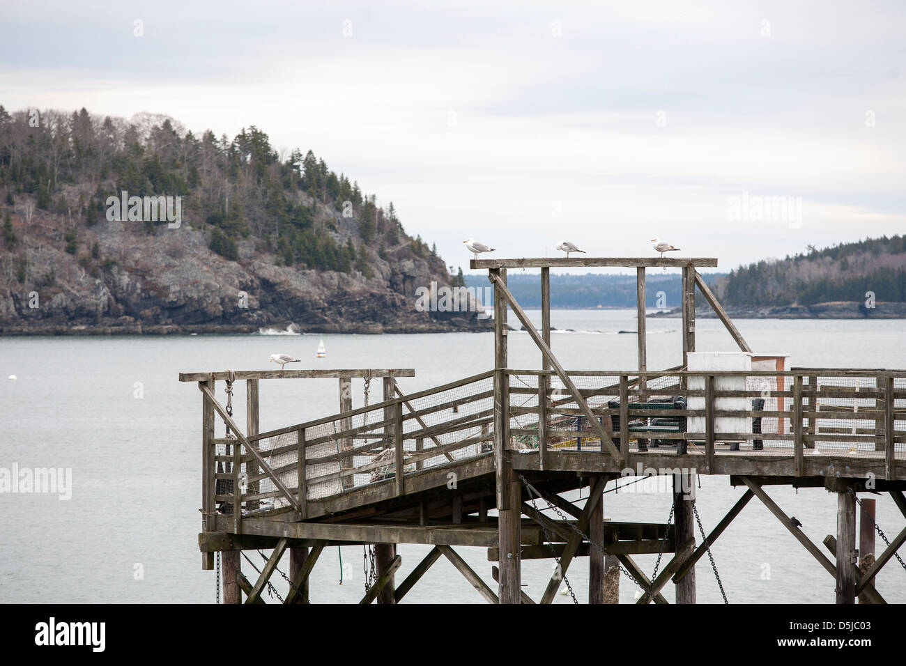 Alcuni Gabbiani su un molo in Bar Harbor, Maine, Stati Uniti d'America Foto Stock
