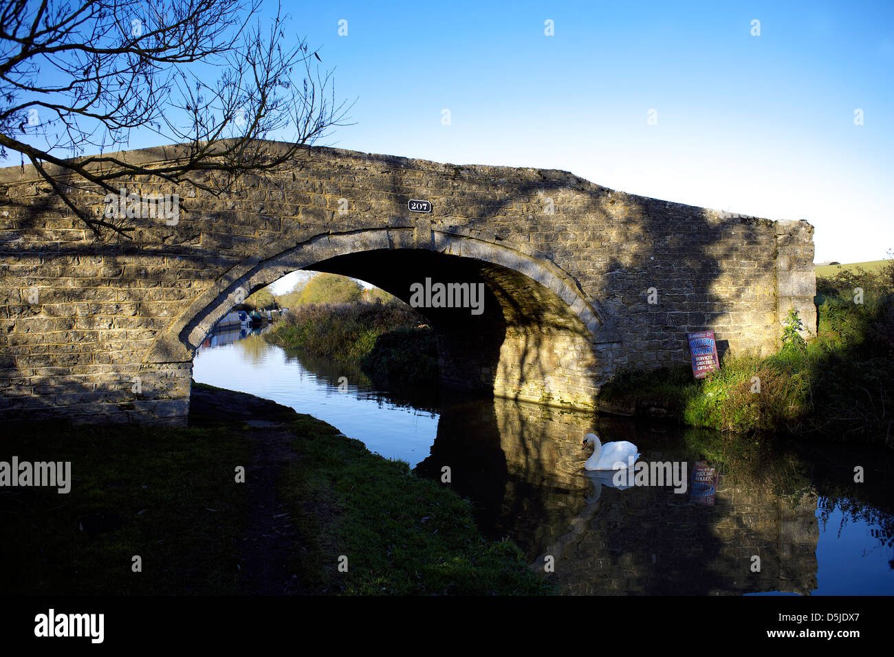 Swan nuotare sotto il ponte 207 a Heyford Wharf sul Sud Oxford Canal Oxfordshire Oxon Inghilterra canal canali scenic UK GB Foto Stock