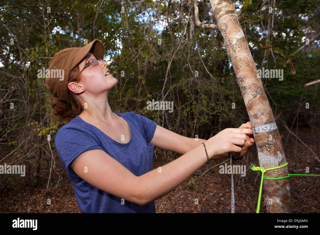Madagascar, Funzionamento Wallacea studente impresa foresta secca sondaggio albero di misurazione Foto Stock